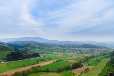 black Forrest Almanya'da freiburg neredeyse