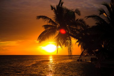 Maldivian Sunset clipart