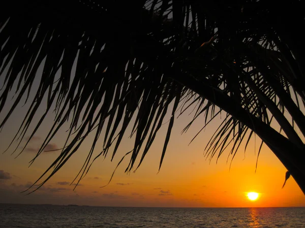 Мальдівських захід сонця — стокове фото