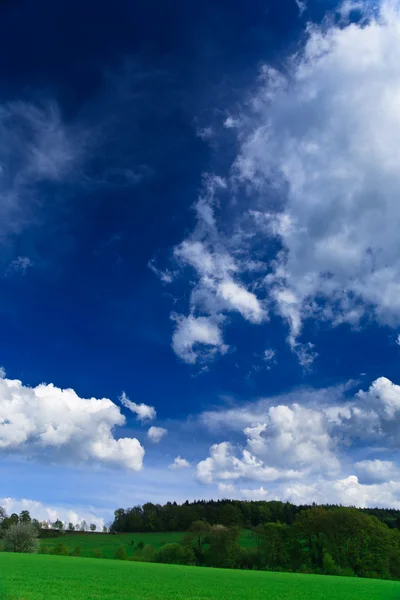 Paysage printanier - champs verts, ciel bleu — Photo
