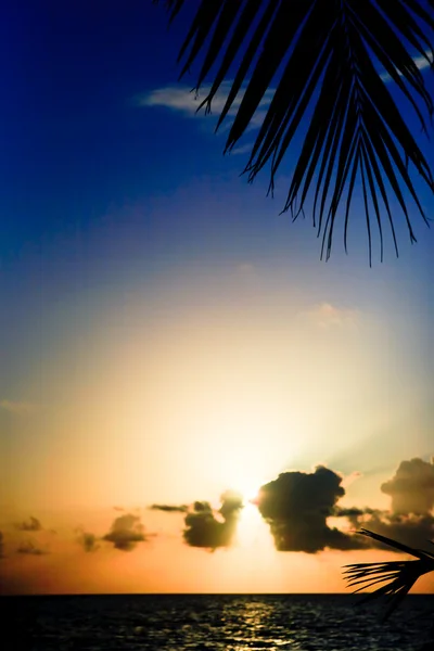 मालदीवचे सूर्यास्त — स्टॉक फोटो, इमेज