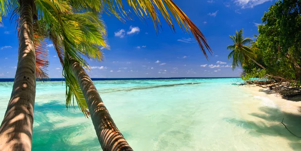 在马尔代夫的热带天堂 — 图库照片