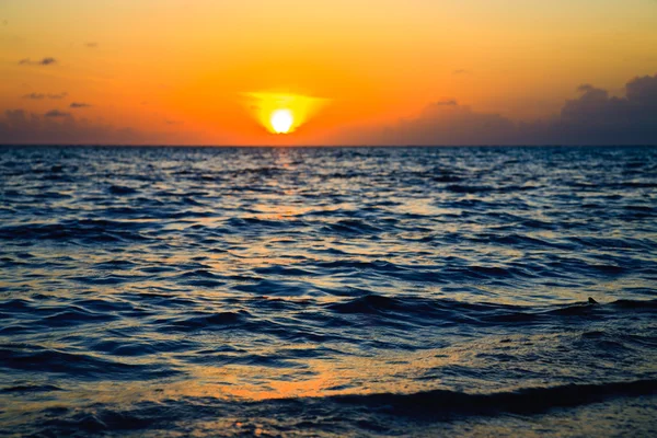 Malediwskim zachód słońca — Zdjęcie stockowe