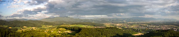 stock image Black forrest at Germany nearly Freiburg