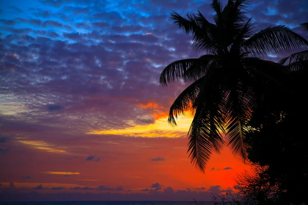 Maldiviska sunset — Stockfoto
