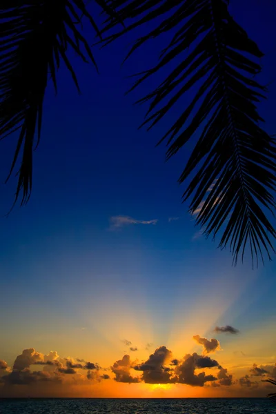 Мальдивский закат — стоковое фото