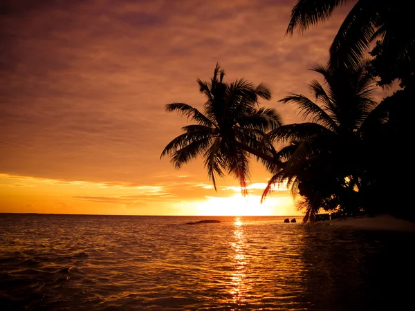 Malediivinen Auringonlasku Kuva Mukava Väri — kuvapankkivalokuva