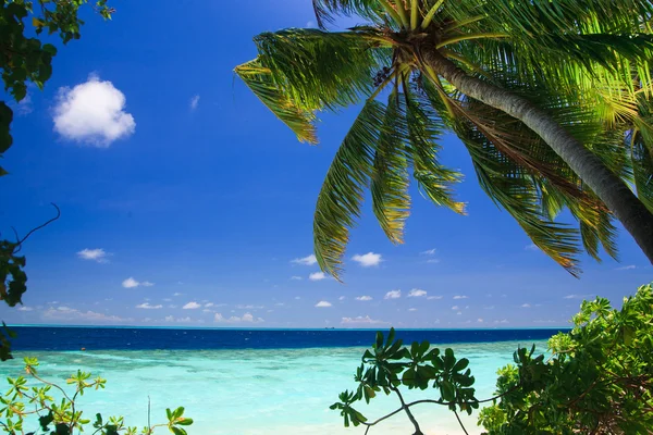 Tropický ráj v Maledivy — Stock fotografie