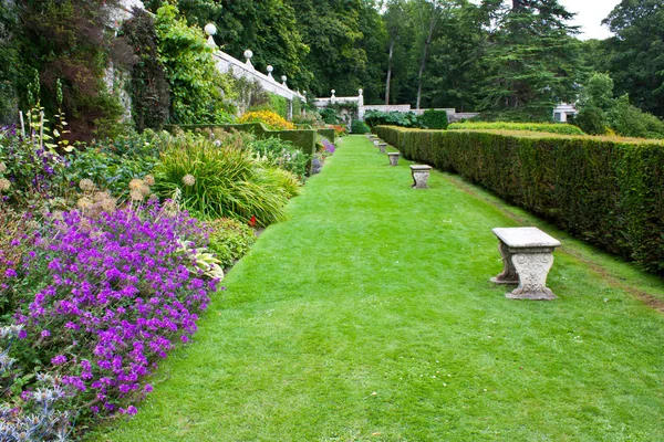 Królewski Ogród — Zdjęcie stockowe
