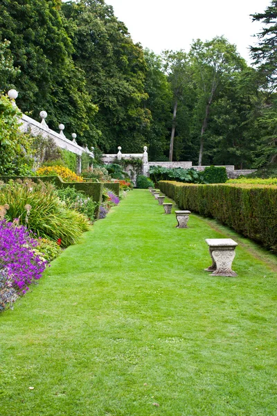 Engelska trädgården — Stockfoto