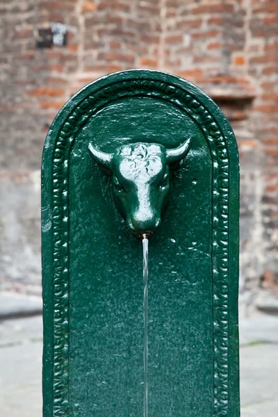 Stier fontein — Stockfoto