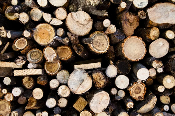 Fondos: madera —  Fotos de Stock