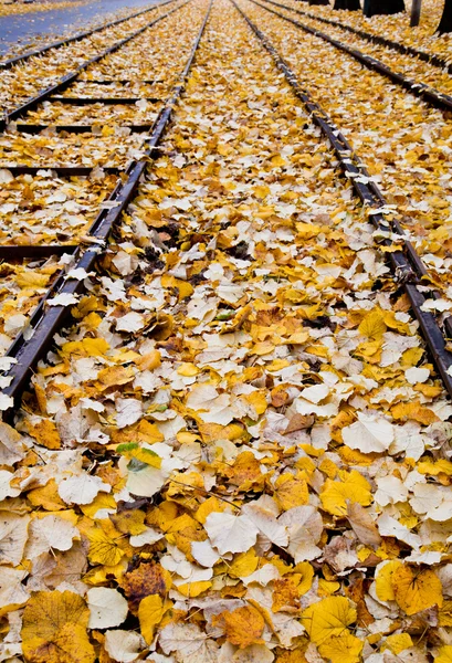 Podzim v Itálii — Stock fotografie