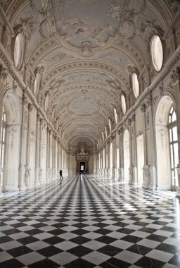 Italy - Royal Palace: Galleria di Diana, Venaria clipart