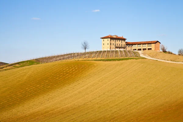 Villa italiana com vinha: estação de primavera — Fotografia de Stock