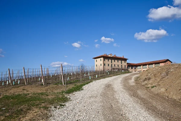 Итальянская вилла с виноградником: весенний сезон — стоковое фото