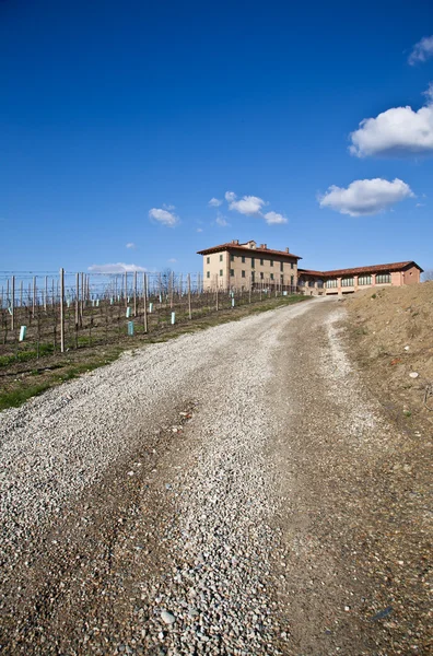 Villa italiana con viñedo: temporada de primavera —  Fotos de Stock