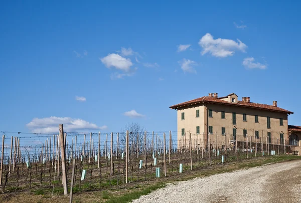 Italiensk villa med vingård: vårsäsongen — Stockfoto