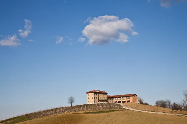 Italian villa with vineyard: spring season — Stock Photo, Image
