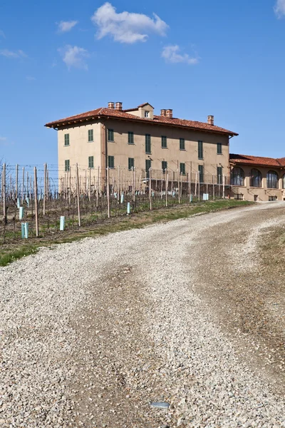 Villa italiana con vigneto: stagione primaverile — Foto Stock