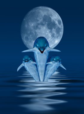 Dolphins clipart