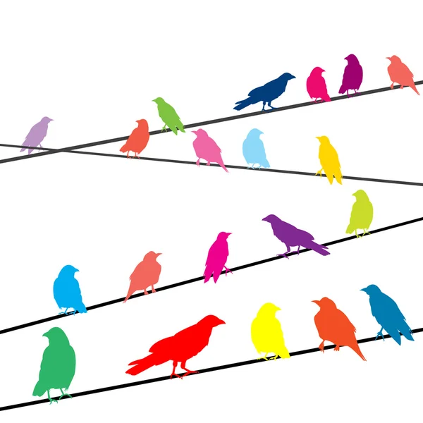Cuervos de colores en los cables — Foto de Stock