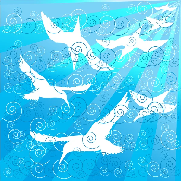 Белые птицы, плавающие в океане — стоковое фото