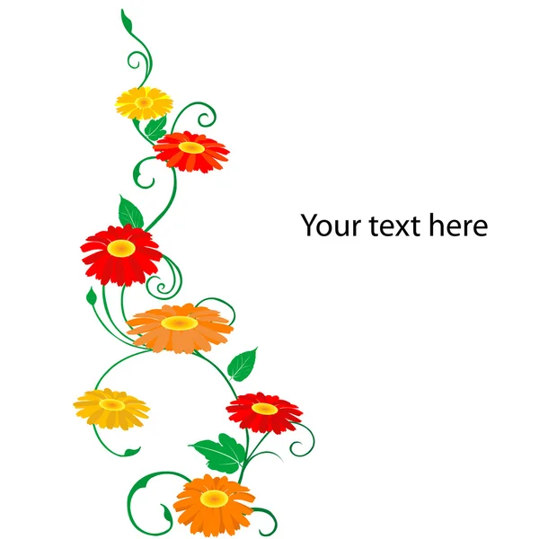 데이지 꽃 단풍으로 인사말 카드 — 스톡 사진