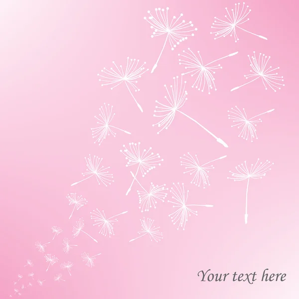 Dandelion seeds over pink background — Stock Photo, Image