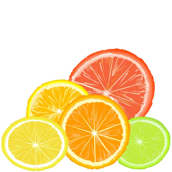 A citrics különböző típusú szeletek — Stock Fotó