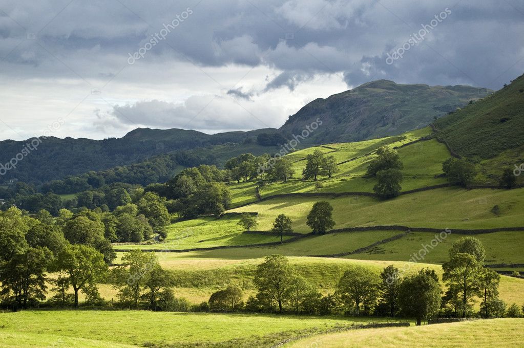 Rolling Green Hills Stock Photo By, Rolling Green Landscape