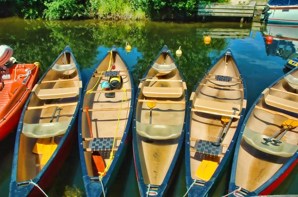 stock image Colorful canoes all lined up and ready to go