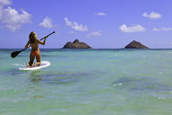 Дівчина в бікіні на дошці на Гаваях — стокове фото