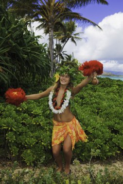 Hawaiian hula danced by a teenage girl clipart