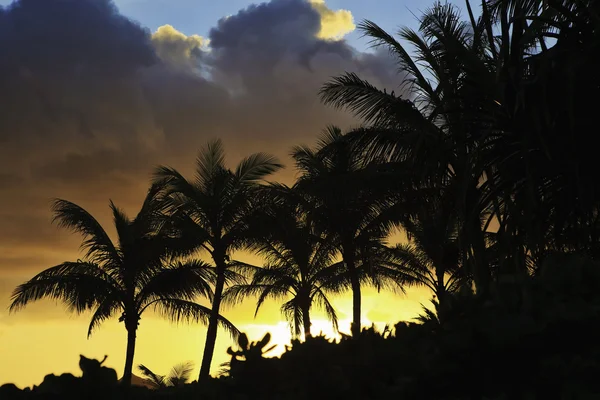 Ειρηνικού Ανατολή του ηλίου στη Χαβάη — Φωτογραφία Αρχείου