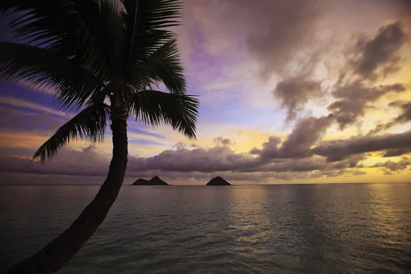 Тихоокеанский восход на Гавайях — стоковое фото