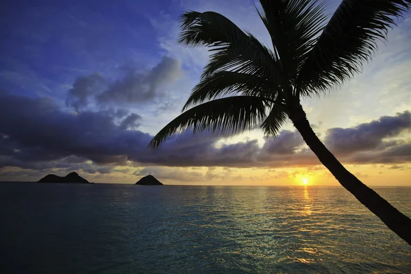 在夏威夷的太平洋日出 — 图库照片