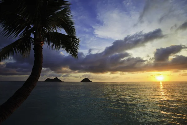 Nascer do sol no Pacífico em Havaí — Fotografia de Stock