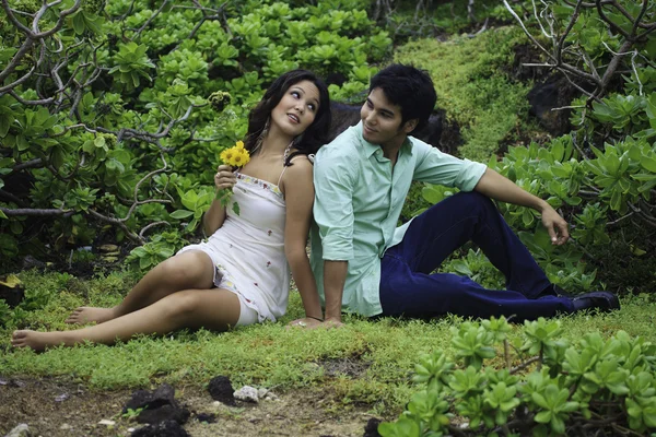 stock image Eurasian siblings lounging in a field