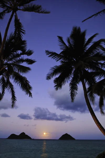 Pacific Moonrise Tussen Mokulua Eilanden Oahu Hawaii — Stockfoto