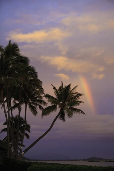 彩虹与棕榈树在夏威夷日出时 — 图库照片