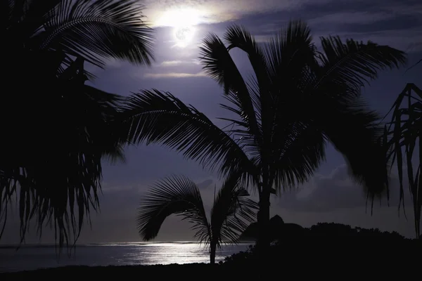 Full moon over a tropical island — Stock Photo, Image