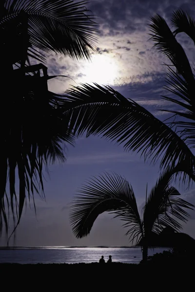 在通过在夏威夷棕榈树看到一个热带小岛满月 — 图库照片