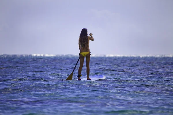 Young japanese woman on her paddle board — Stock Photo, Image