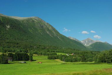 güzel Norveç kırsal dağ manzarası