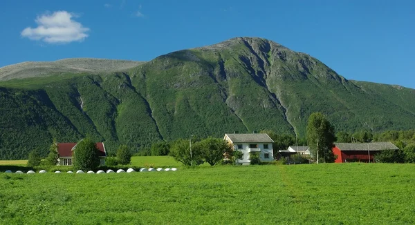 Piękny krajobraz wiejski góry Norwegii — Zdjęcie stockowe