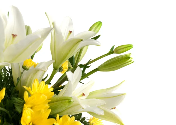 Podrobné žluté sedmikrásky květin — Stock fotografie