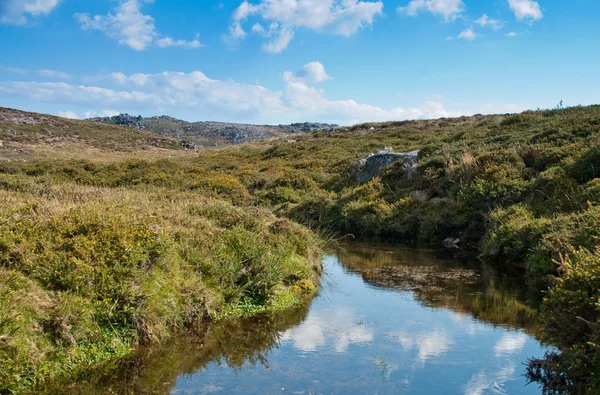 Stock image Landscape with river and blue sky