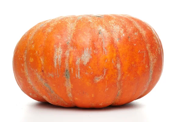 Abóbora laranja — Fotografia de Stock