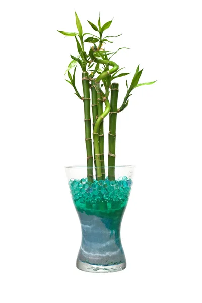 Glas mit Bambus — Stockfoto